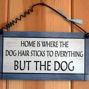 Meet your Posher, Robin-ann